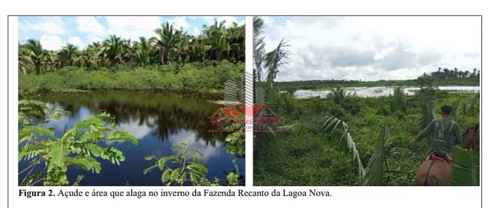 Fazenda, 2173 hectares - Foto 1