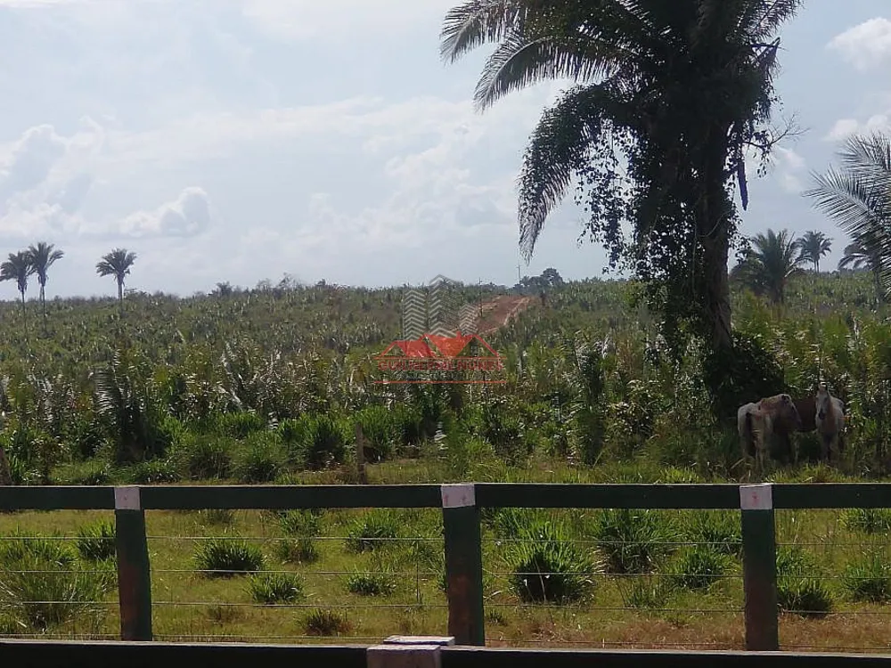 Fazenda, 2173 hectares - Foto 1