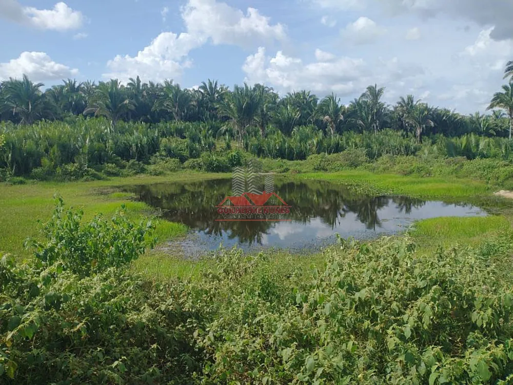 Fazenda, 2173 hectares - Foto 2