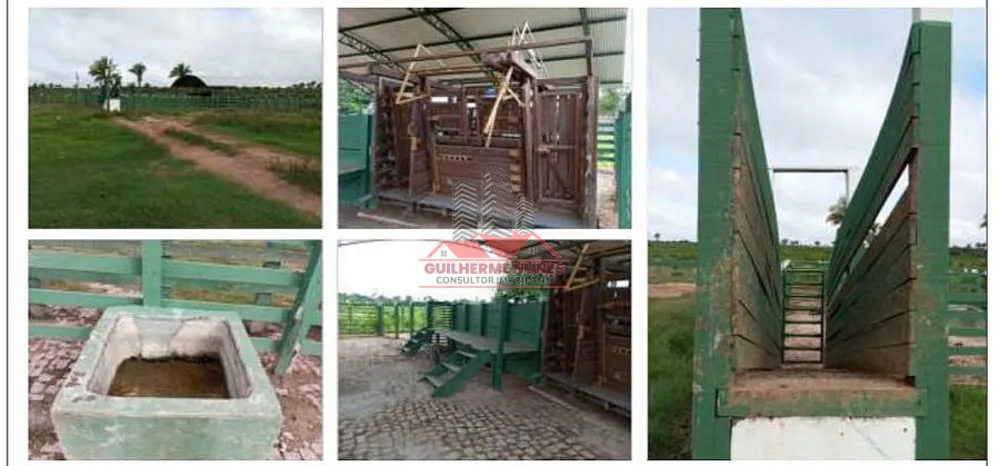 Fazenda, 2173 hectares - Foto 3