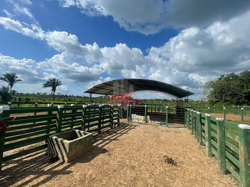 Fazenda, 2173 hectares - Foto 12