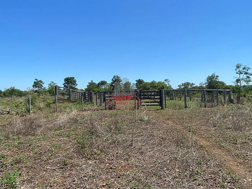 Fazenda, 272 hectares - Foto 10
