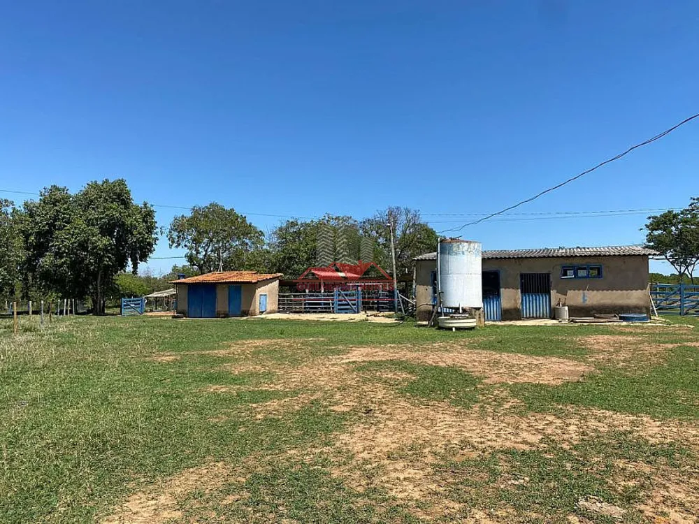 Fazenda, 272 hectares - Foto 6