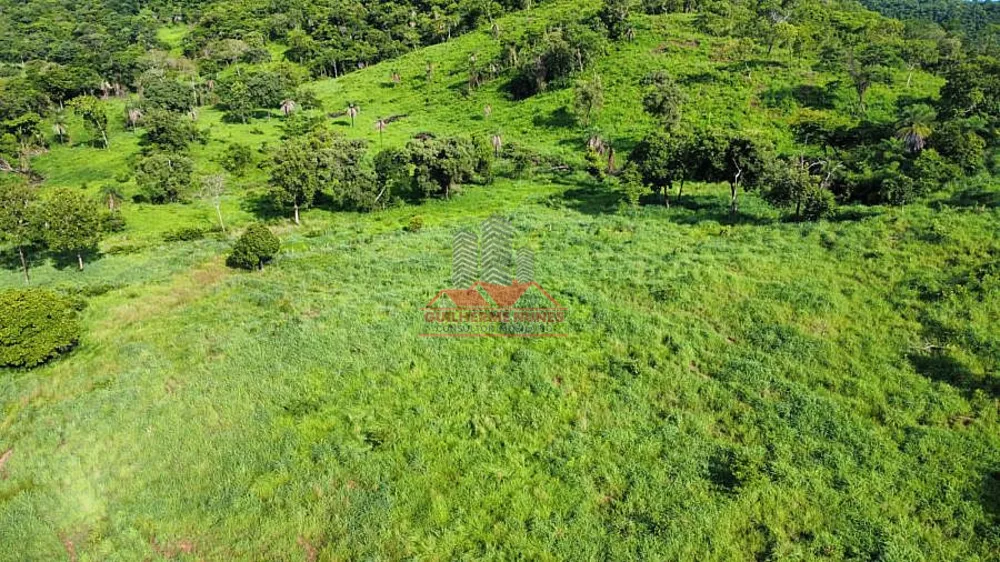 Fazenda, 411 hectares - Foto 8
