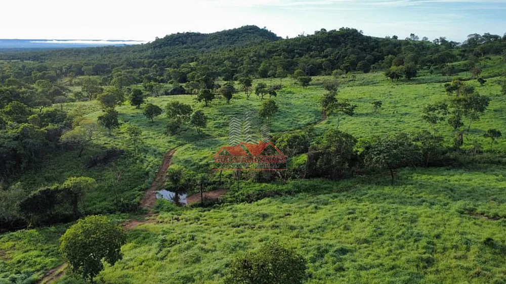 Fazenda, 411 hectares - Foto 4