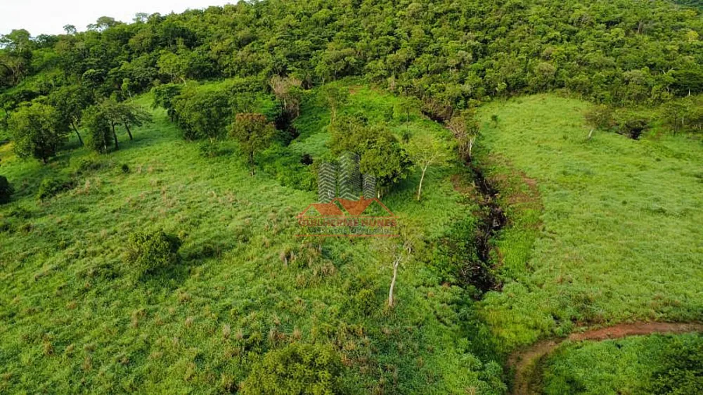 Fazenda, 411 hectares - Foto 3