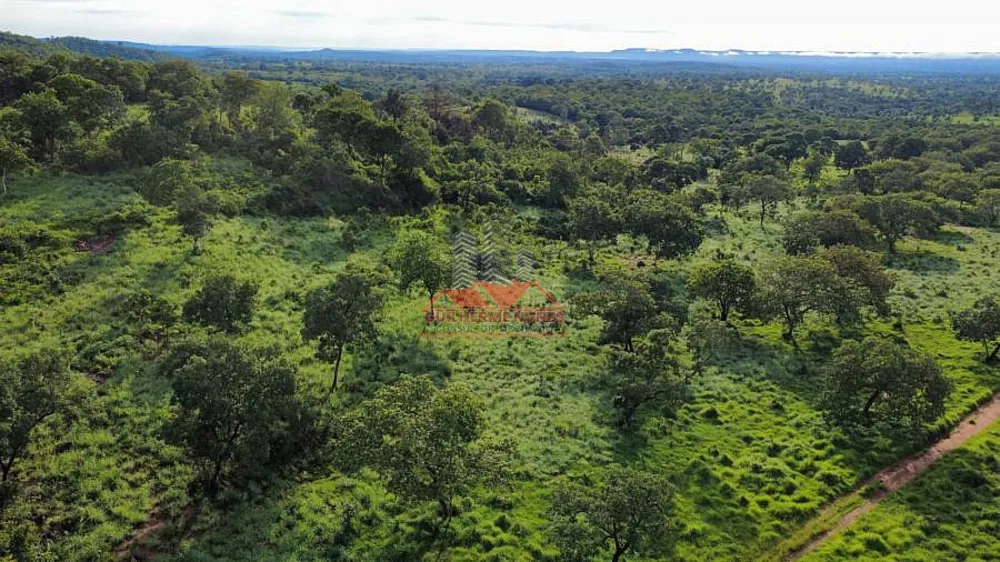 Fazenda, 411 hectares - Foto 7