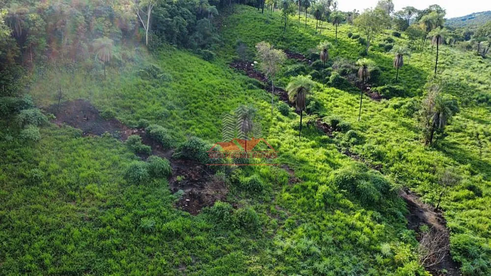 Fazenda, 411 hectares - Foto 6