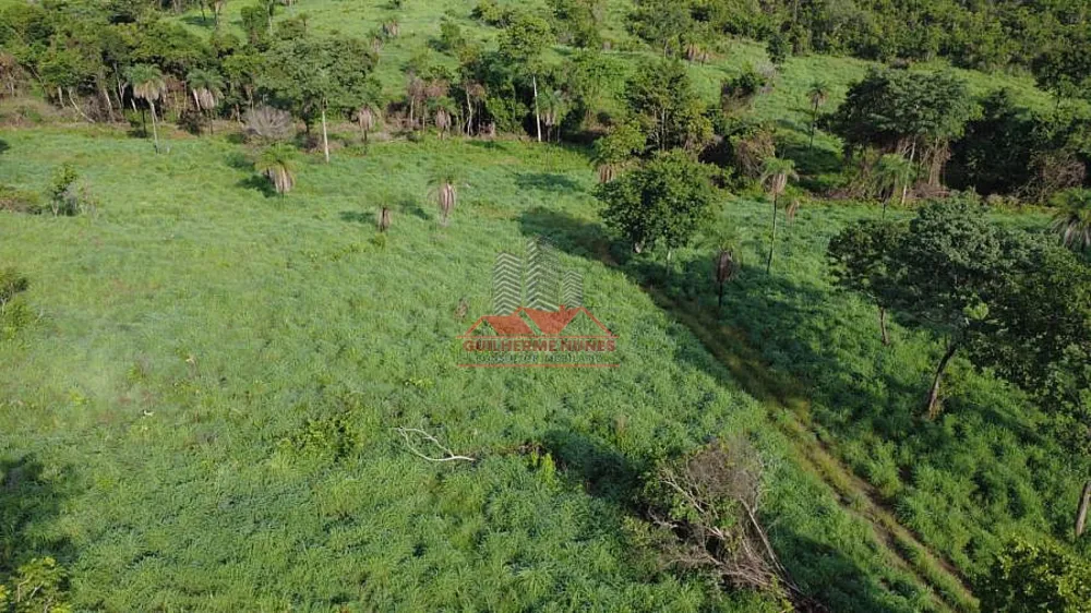 Fazenda, 411 hectares - Foto 2