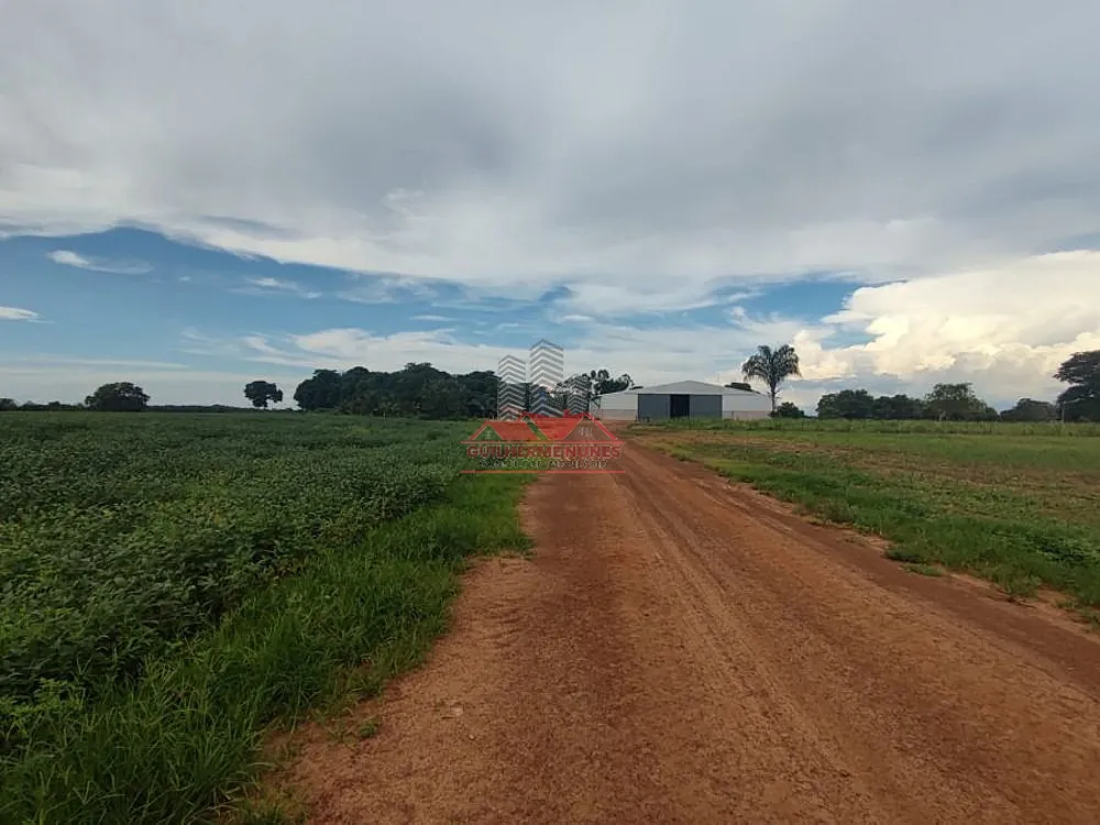Fazenda, 1740 hectares - Foto 4