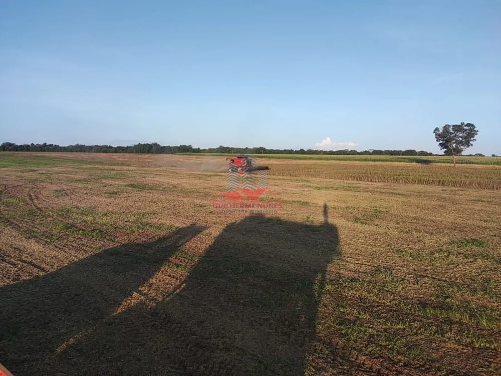 Fazenda, 1740 hectares - Foto 2