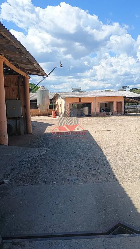 Fazenda, 10 hectares - Foto 4
