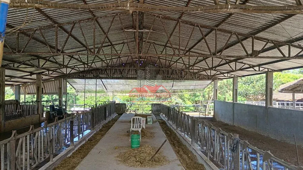 Fazenda, 10 hectares - Foto 6