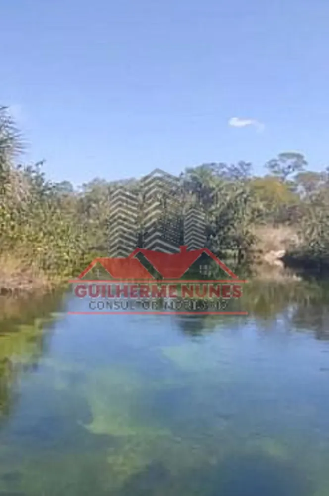Fazenda, 9000 hectares - Foto 2