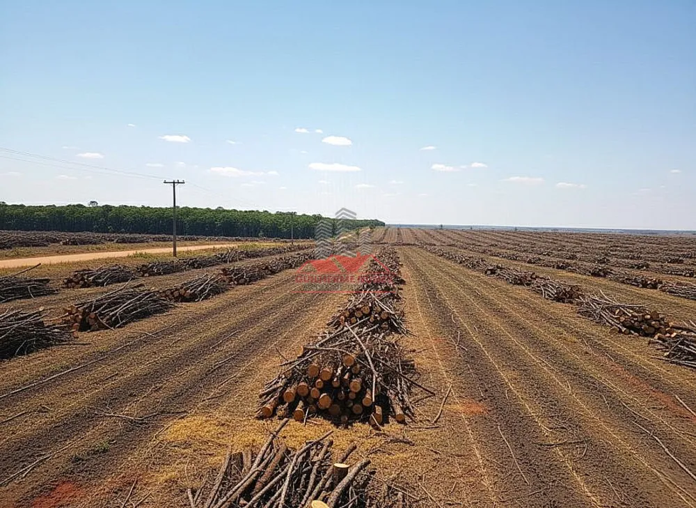 Fazenda, 439 hectares - Foto 2