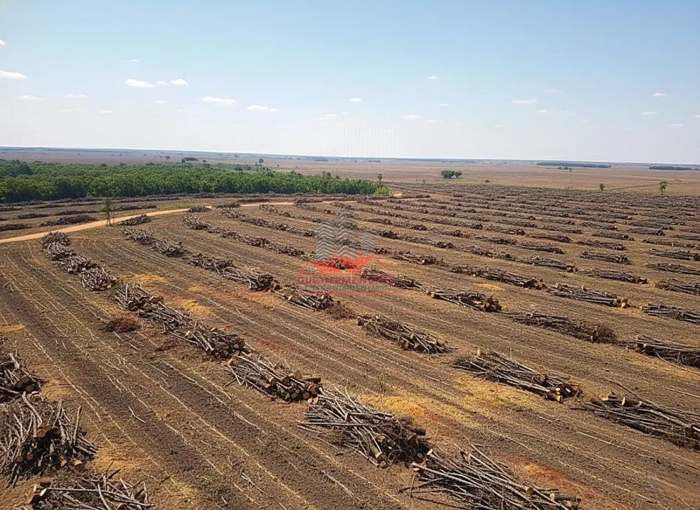 Fazenda, 439 hectares - Foto 1