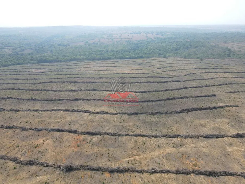 Fazenda, 439 hectares - Foto 3
