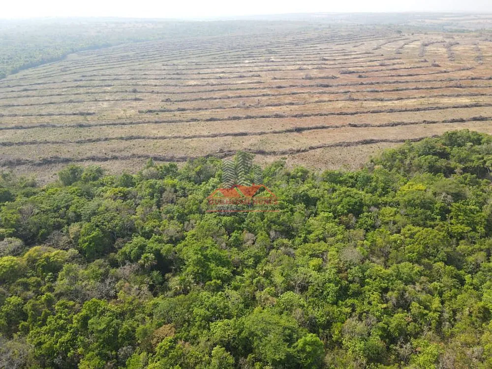 Fazenda, 439 hectares - Foto 2