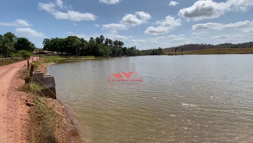 Fazenda, 800 hectares - Foto 3