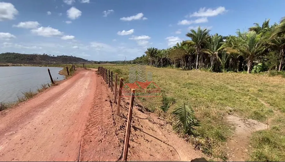 Fazenda, 800 hectares - Foto 6