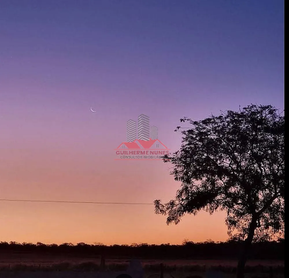 Fazenda, 1080 hectares - Foto 3