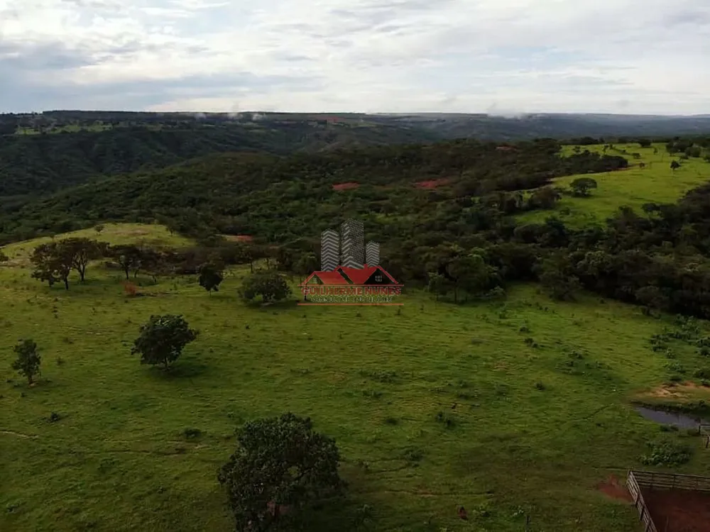 Fazenda, 544 hectares - Foto 7