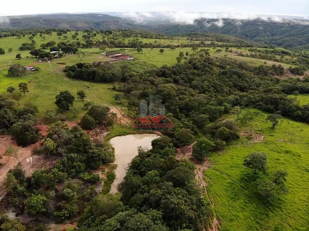 Fazenda, 544 hectares - Foto 9