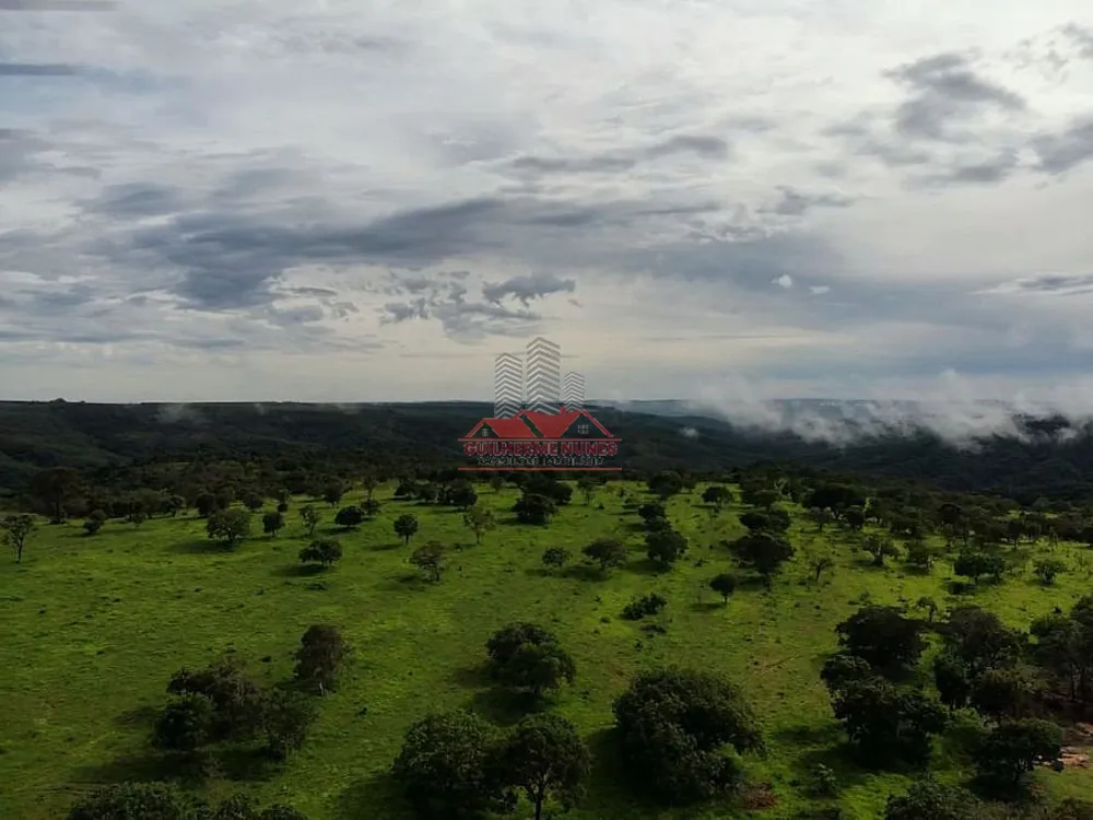 Fazenda, 544 hectares - Foto 3