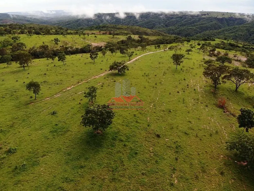 Fazenda, 544 hectares - Foto 6