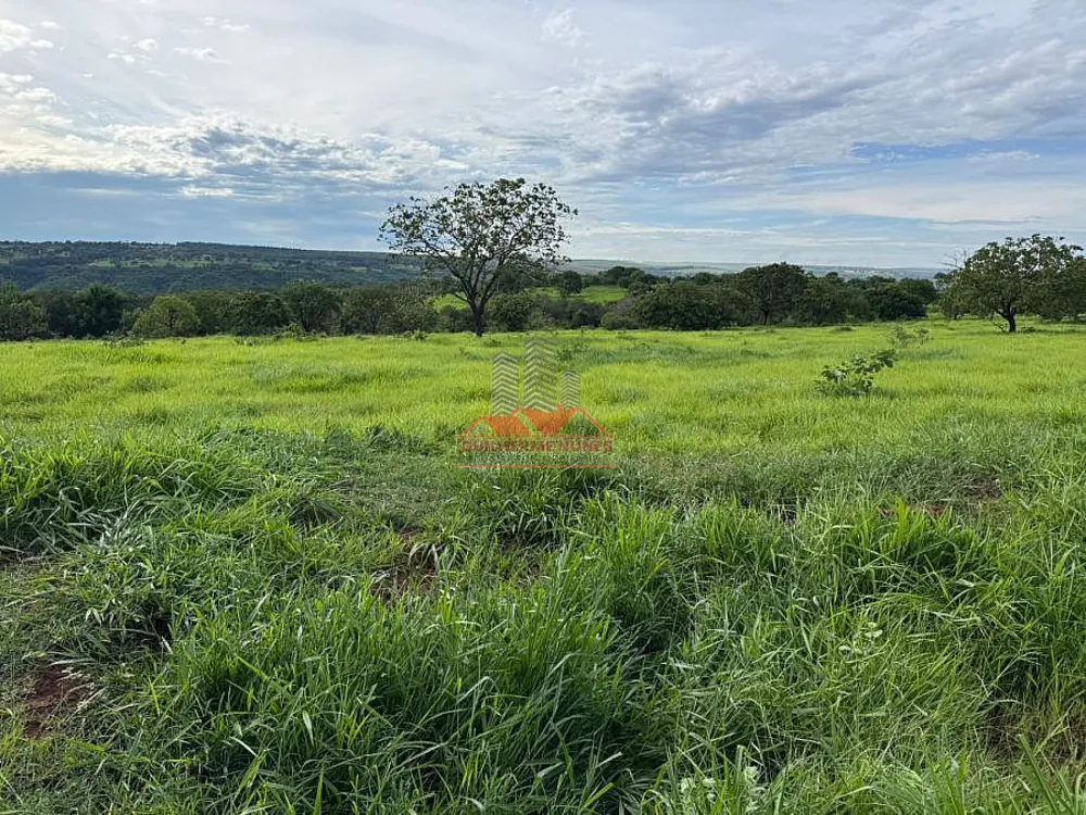Fazenda, 544 hectares - Foto 11