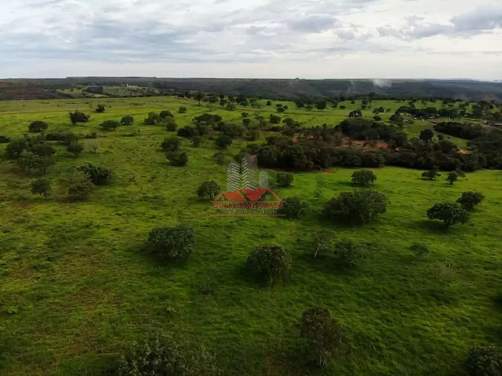 Fazenda, 544 hectares - Foto 8
