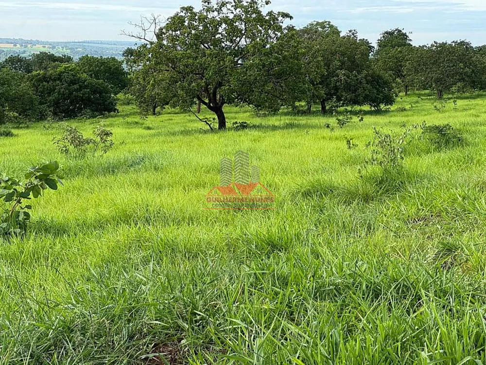 Fazenda, 544 hectares - Foto 10