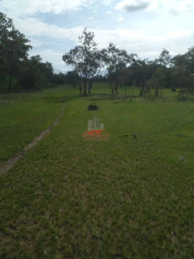 Fazenda, 684 hectares - Foto 7