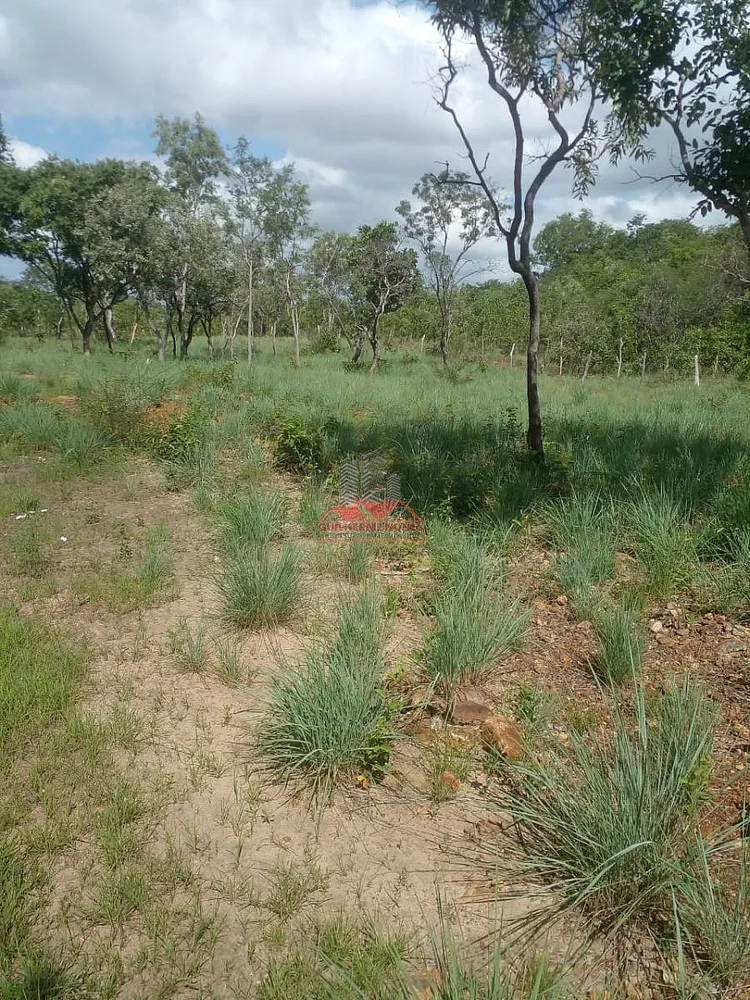 Fazenda, 684 hectares - Foto 12