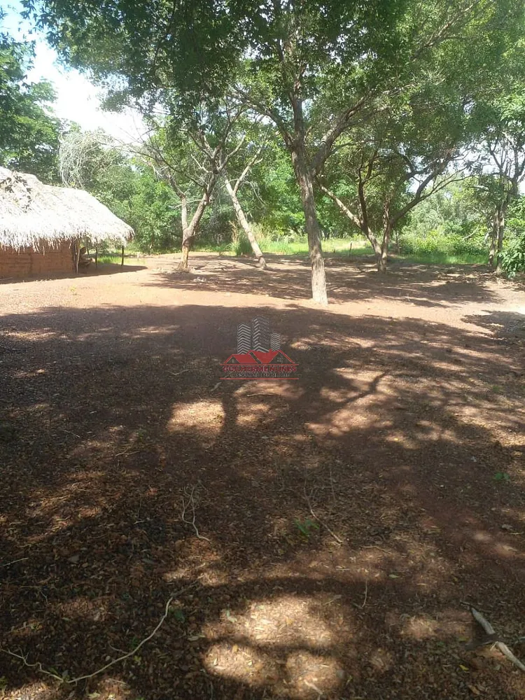 Fazenda, 684 hectares - Foto 5