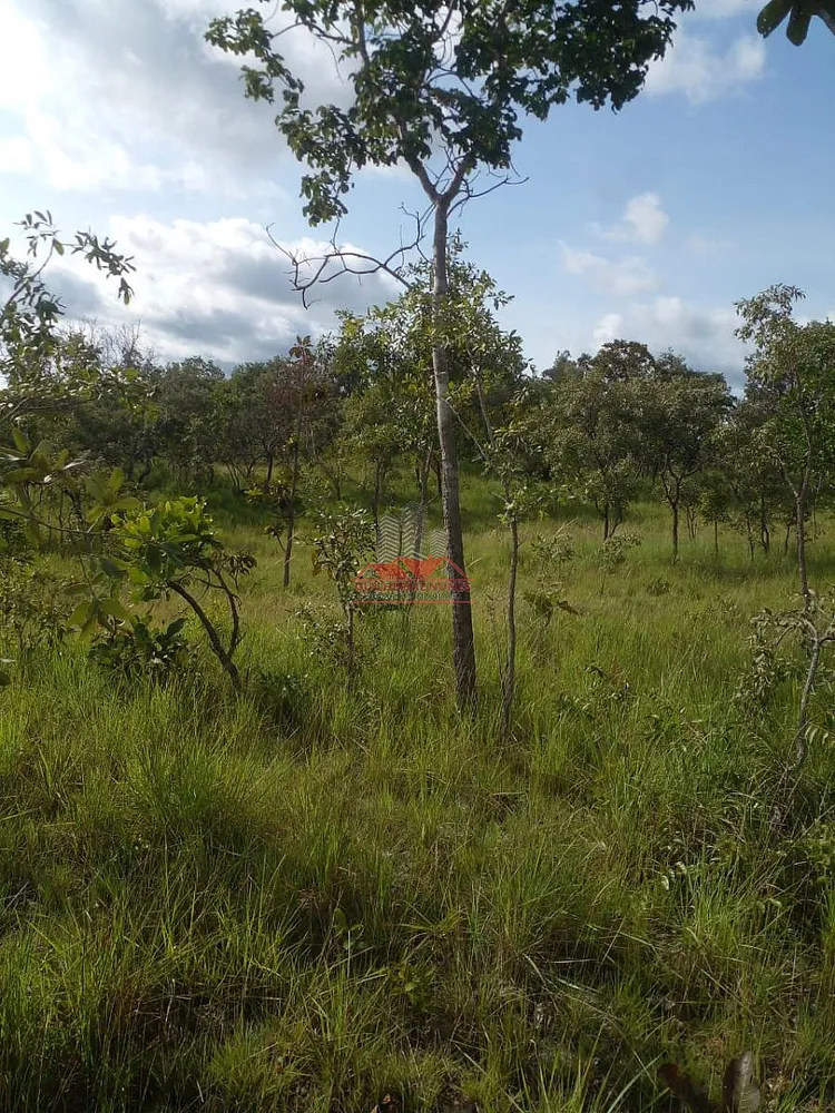 Fazenda, 684 hectares - Foto 6