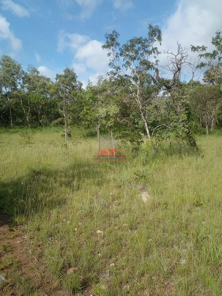 Fazenda, 684 hectares - Foto 11