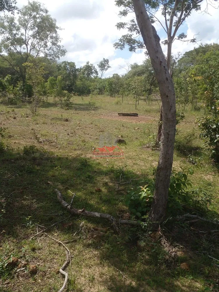 Fazenda, 684 hectares - Foto 2