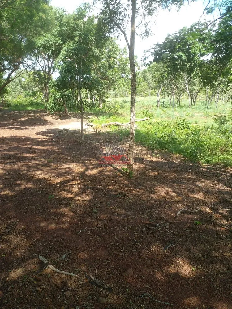 Fazenda, 684 hectares - Foto 7