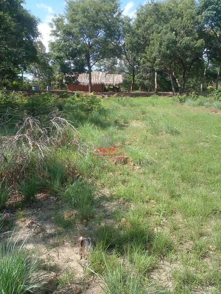 Fazenda, 684 hectares - Foto 4
