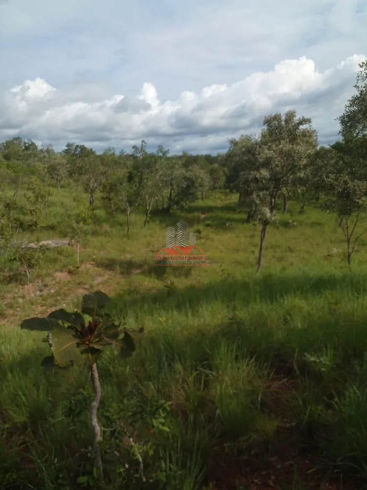 Fazenda, 684 hectares - Foto 8