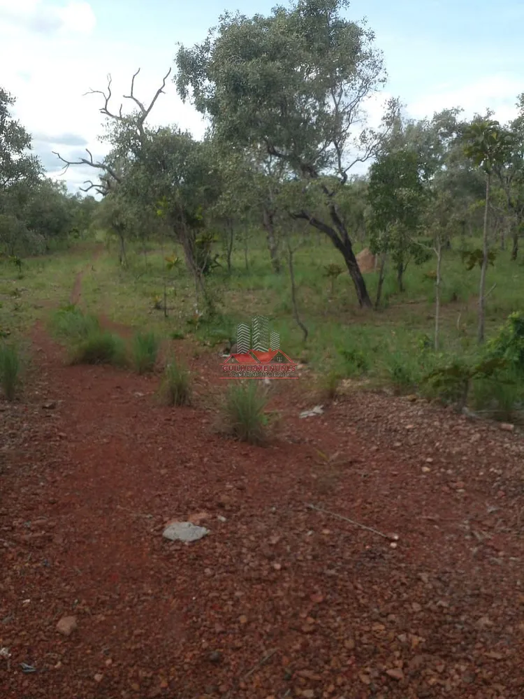 Fazenda, 684 hectares - Foto 1