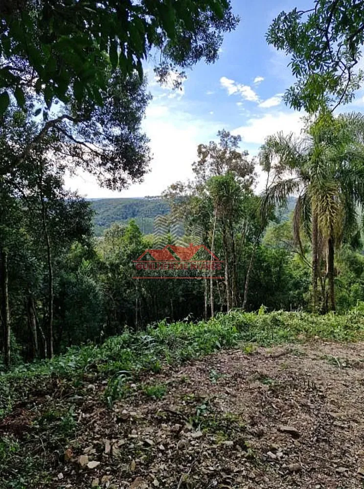 Sítio, 1 hectares - Foto 7