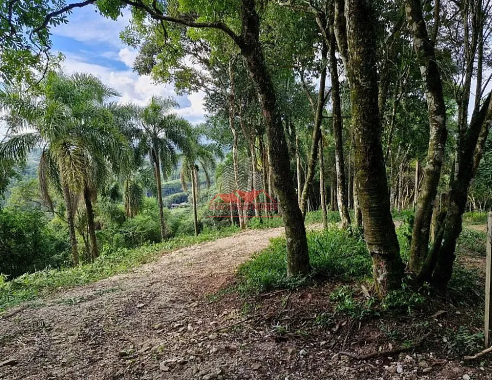 Sítio, 1 hectares - Foto 4