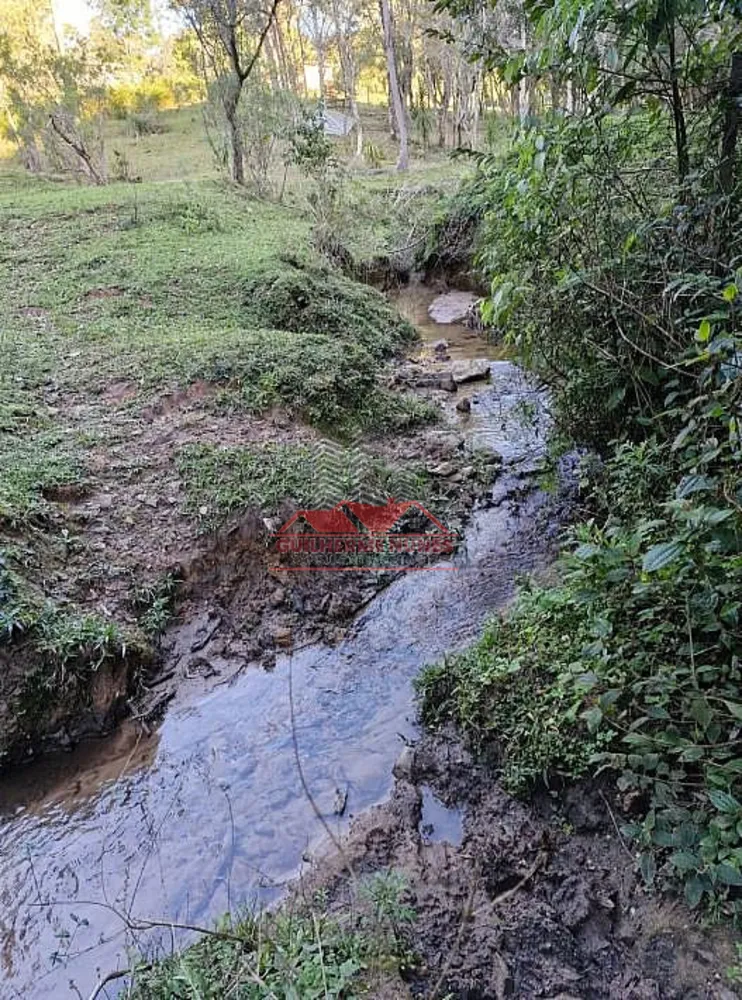 Sítio, 1 hectares - Foto 2