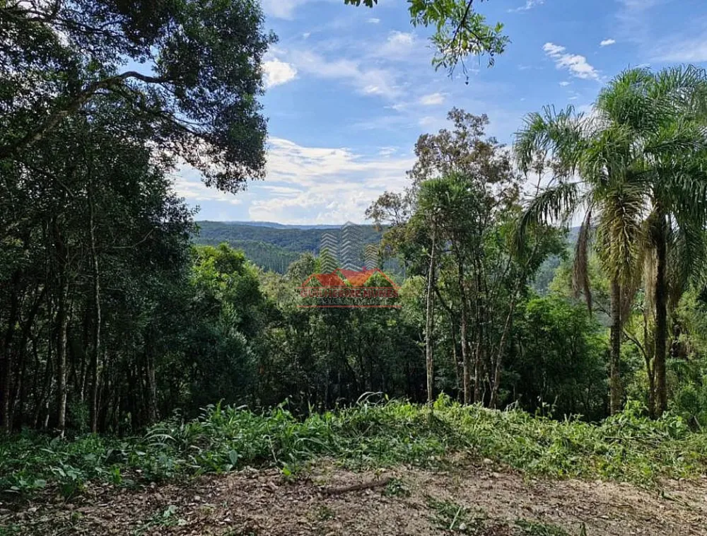 Sítio, 1 hectares - Foto 10
