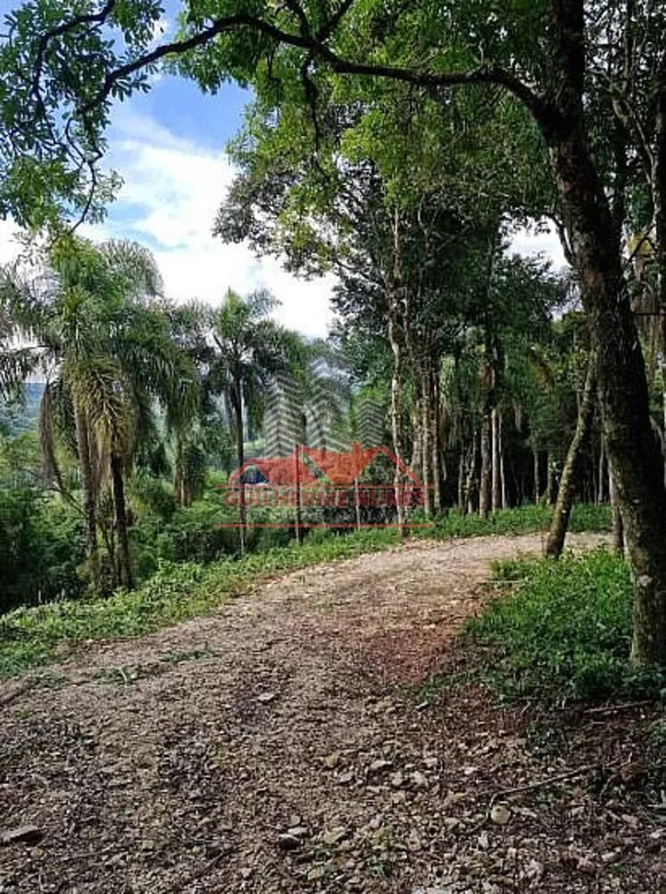 Sítio, 1 hectares - Foto 12