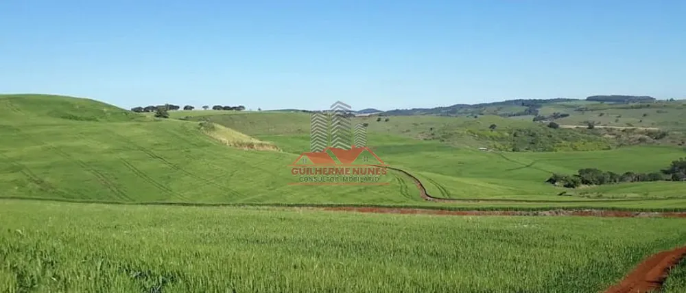 Fazenda, 298 hectares - Foto 2