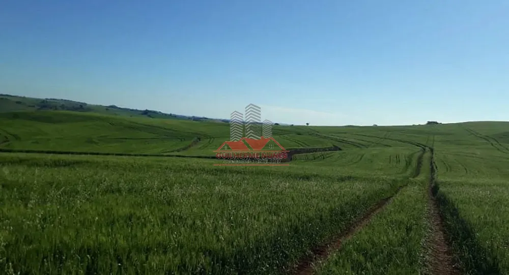 Fazenda, 298 hectares - Foto 3