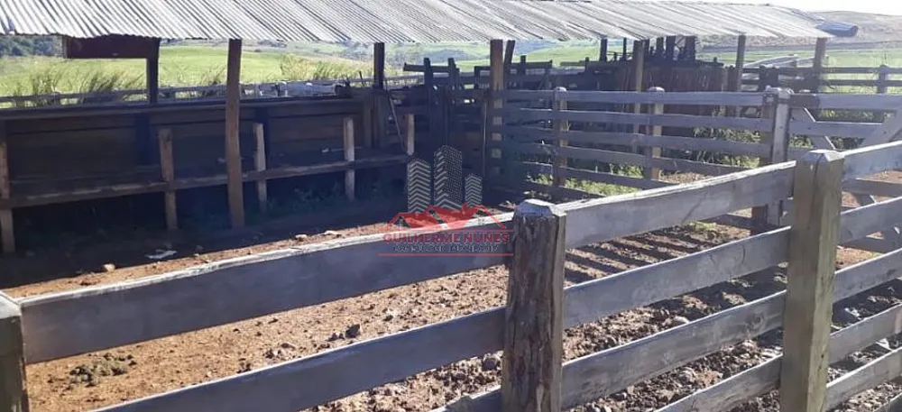Fazenda, 298 hectares - Foto 4